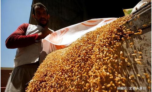 深层战略还是表象目标？联合国高官揭露以色列军事行动的真实意图