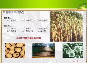 农业部强化转基因作物监管，筑牢种子市场安全防线